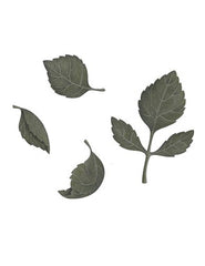 Dark Green Leaves Wall Sticker