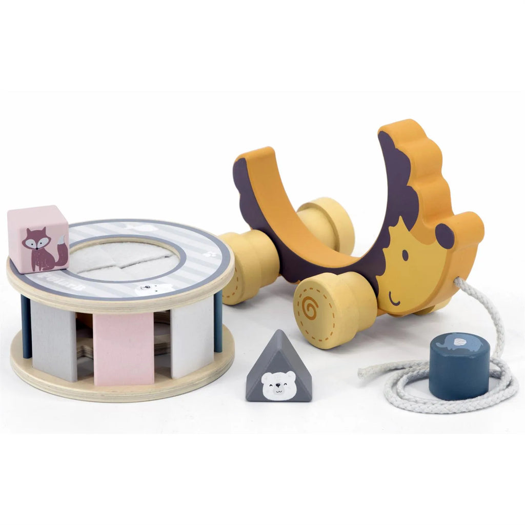 Hedgehog w/ Sorting Wheel