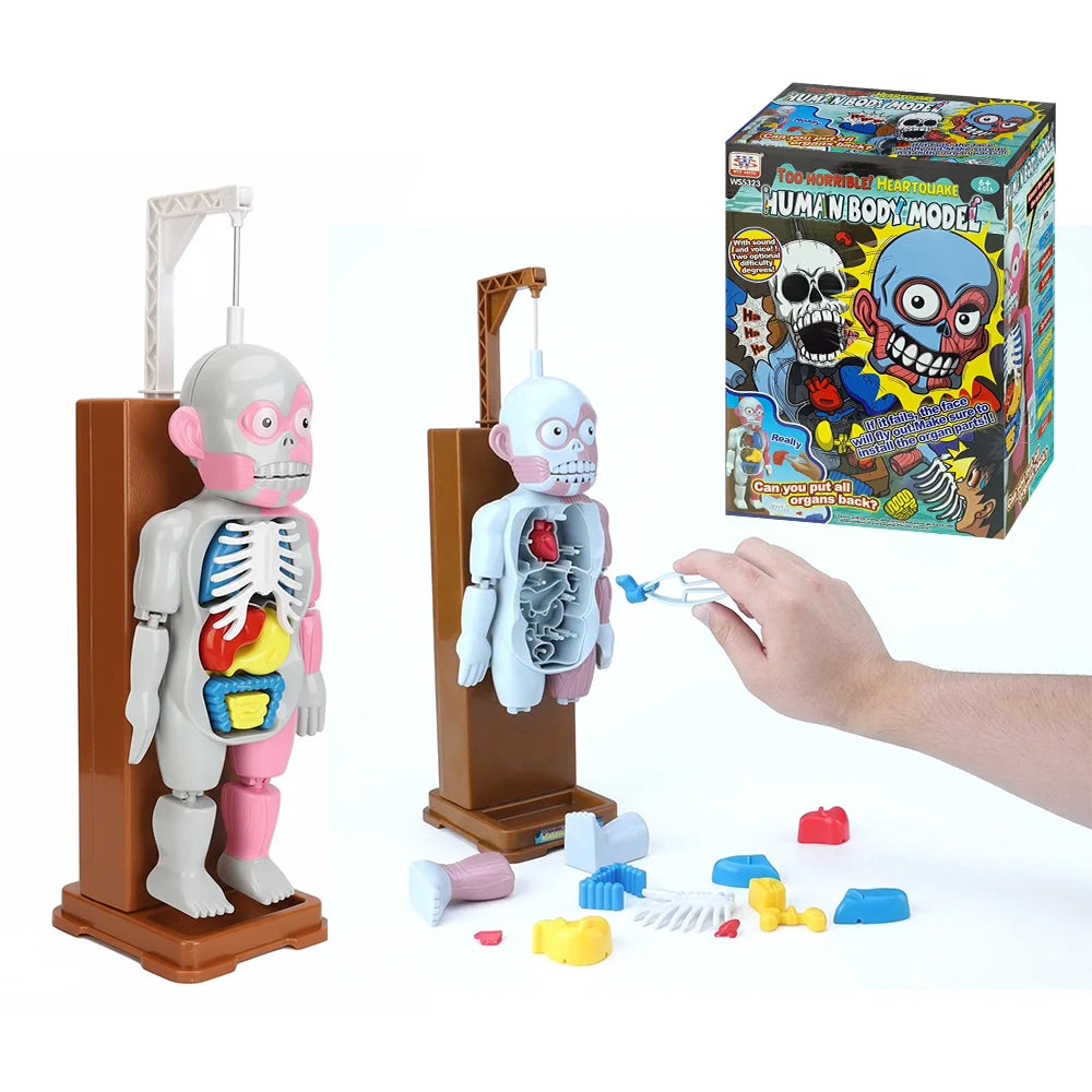 Human Body Organ Challenge Game