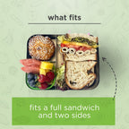 Lunchbots Large Bento Box - Trio - Aqua