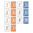 لولوجو – بطانيه و مجموعه بطاقات السنه الاولي