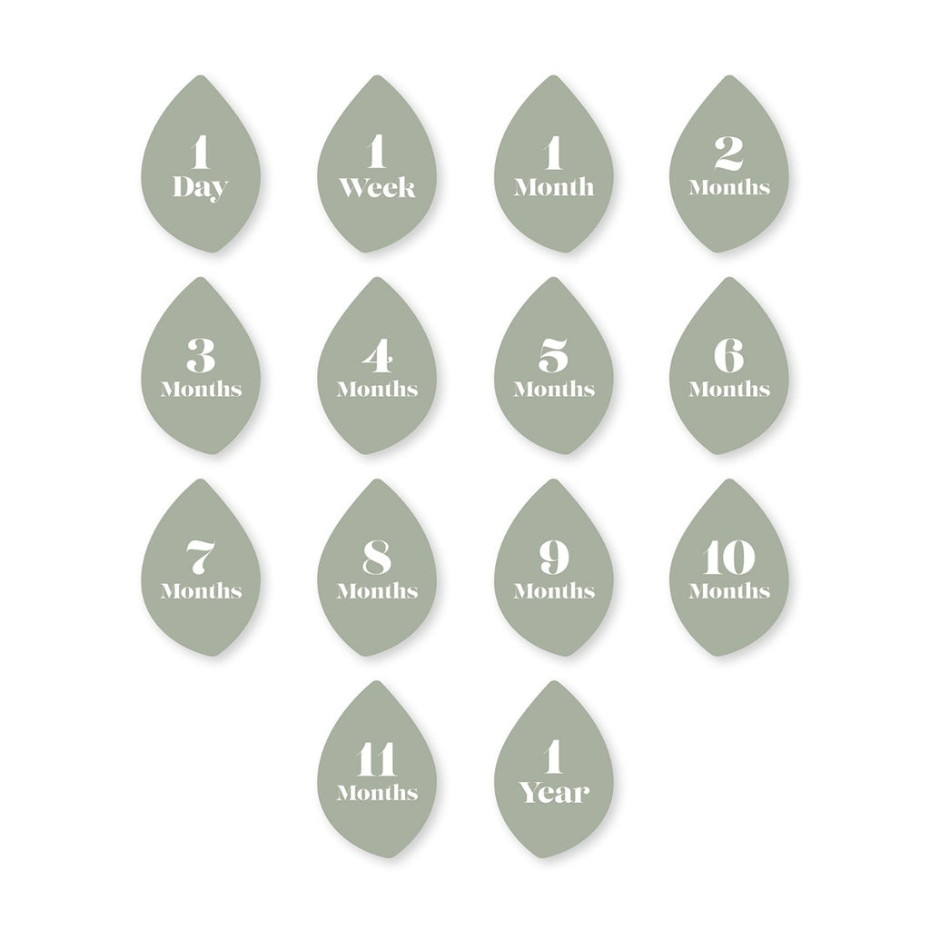 Lulujo Baby's First Year Blanket&Cards Set - Sweet as a Peach