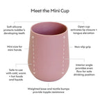 Ezpz Mini Cup & Straw Training System - Blush