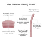 Ezpz Mini Cup & Straw Training System - Blush