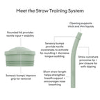 Ezpz Mini Cup & Straw Training System - Sage