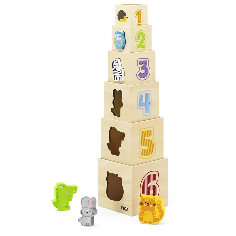 Nesting & Stacking Blocks