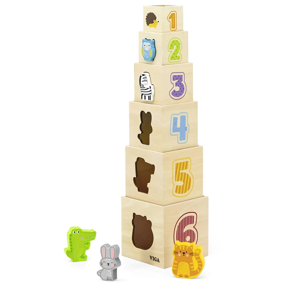 Nesting & Stacking Blocks