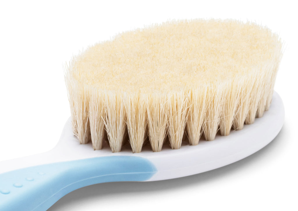 نوفيتا - فرشاة صوف طبيعي+مشط - أزرق