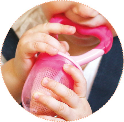 Nuvita Flavorillo feeder set with 2 nets (S size and M size) PINK