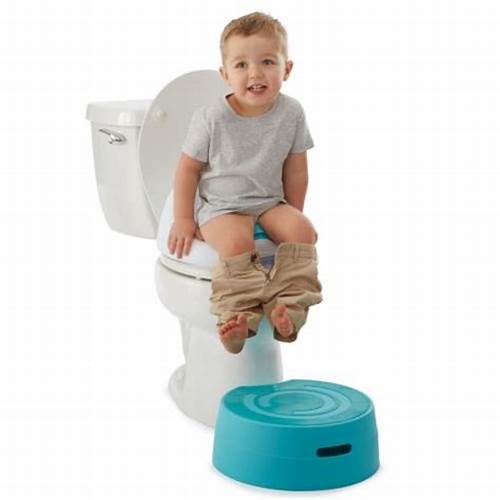 summer infant 2 in 1 toilet seat Summer 2 In 1 Step Up Potty – Omahat
