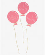Pink Acrylic Balloons Milestone Set