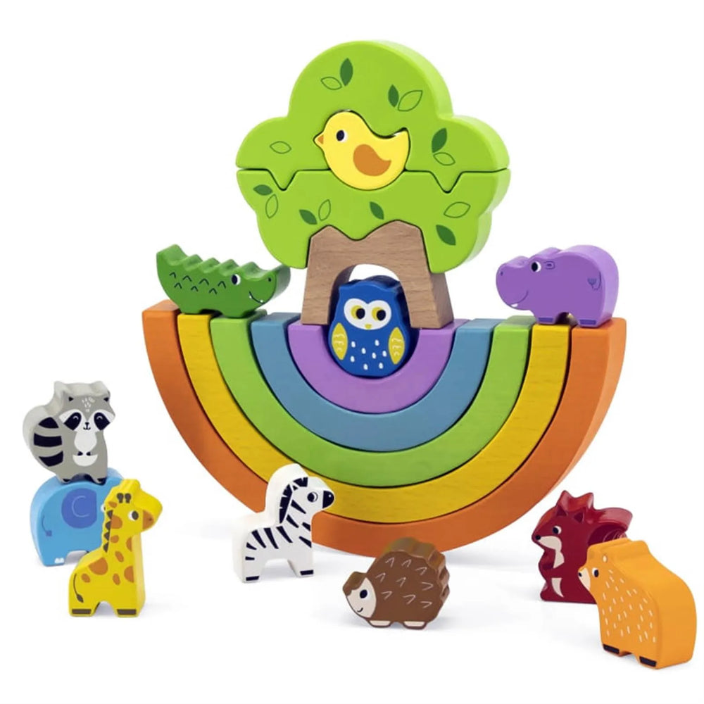 Rainbow Balancing blocks