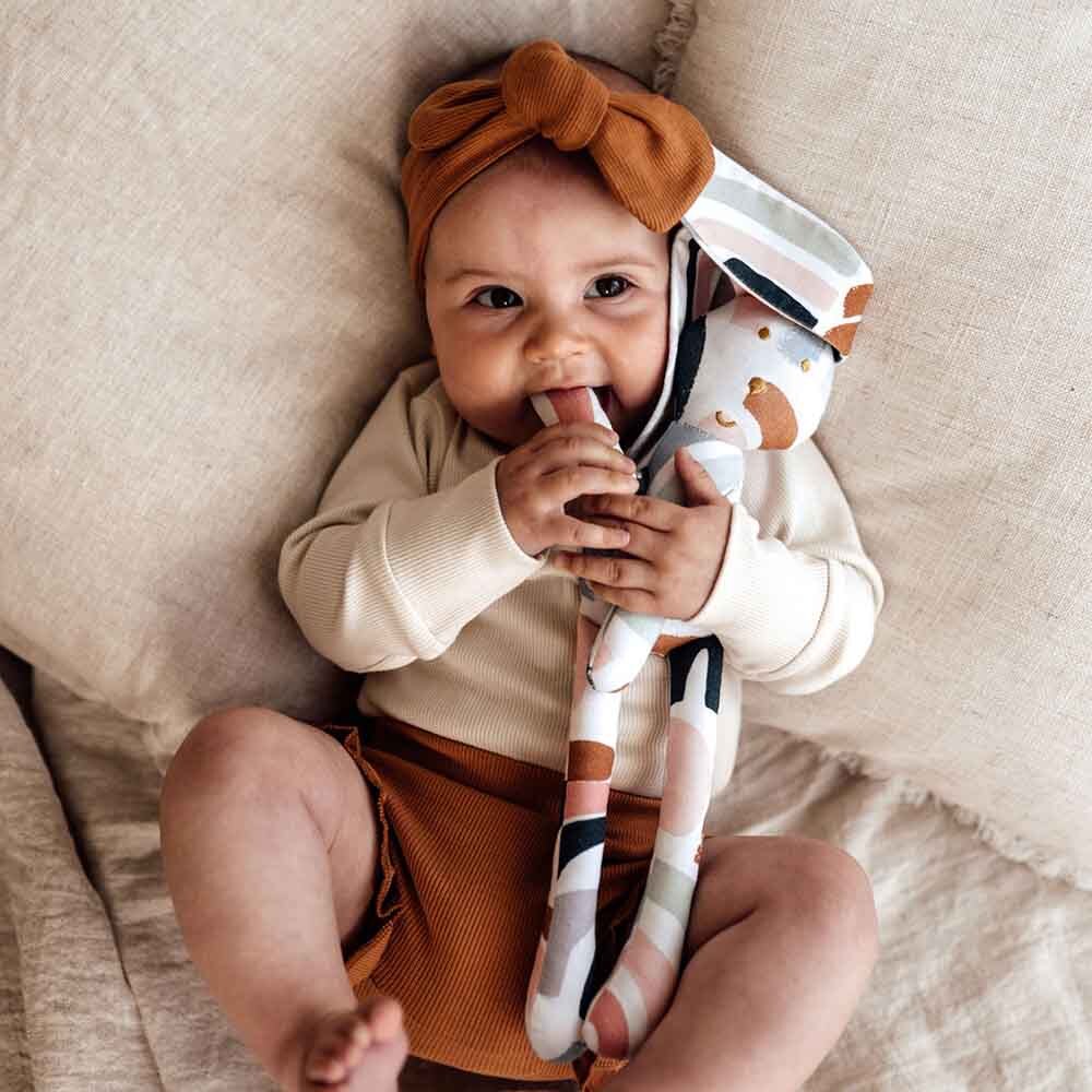 Rainbow Baby Snuggle Bunny Comforter