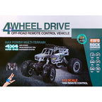 Remote Control 4x4 WD with Meconium Wheel Car