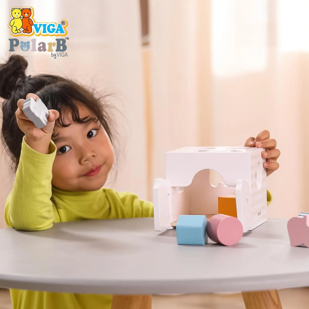 Viga Shape Sorter with Music Blocks