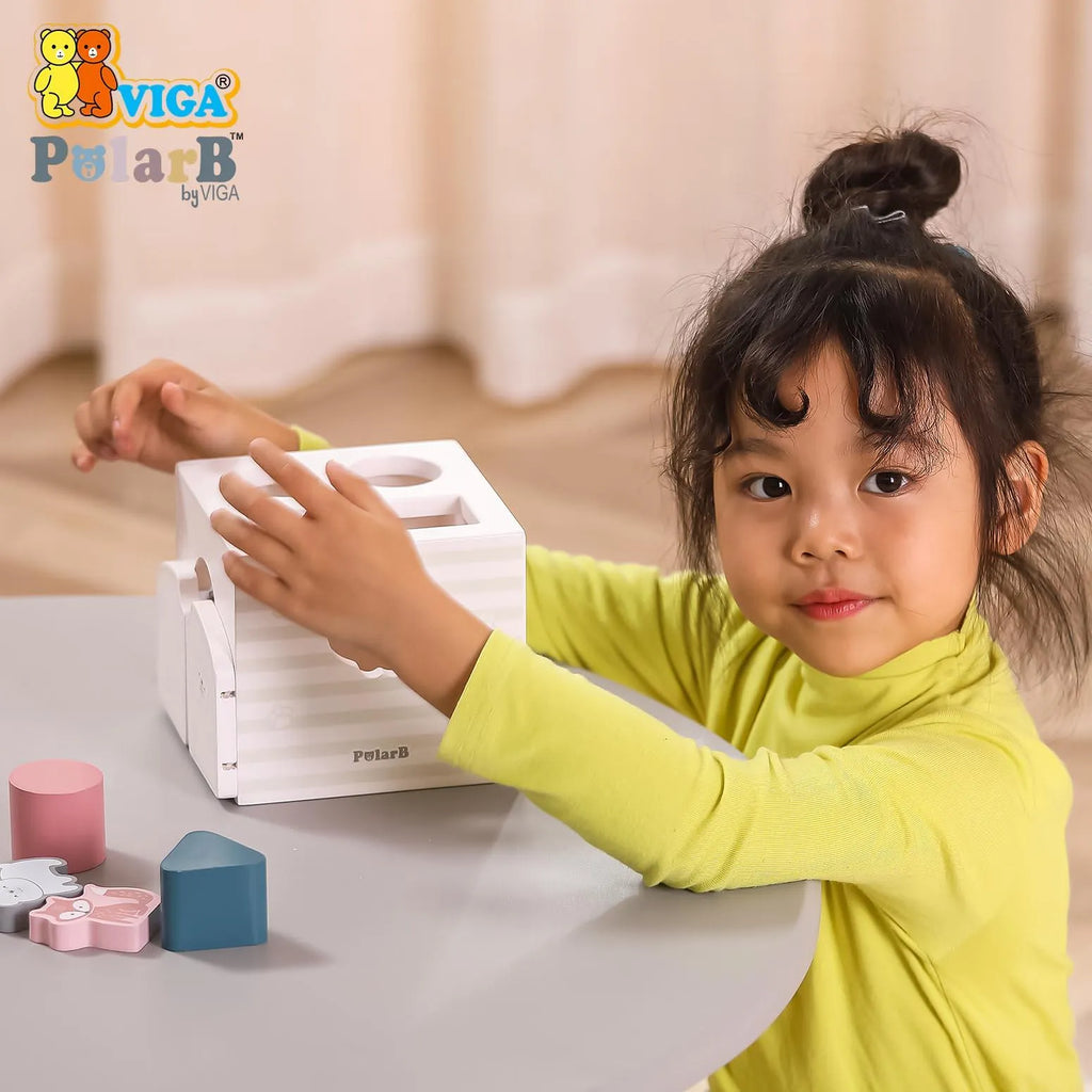 Viga Shape Sorter with Music Blocks