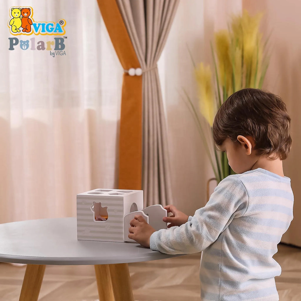 Viga Shape Sorter with Music Blocks