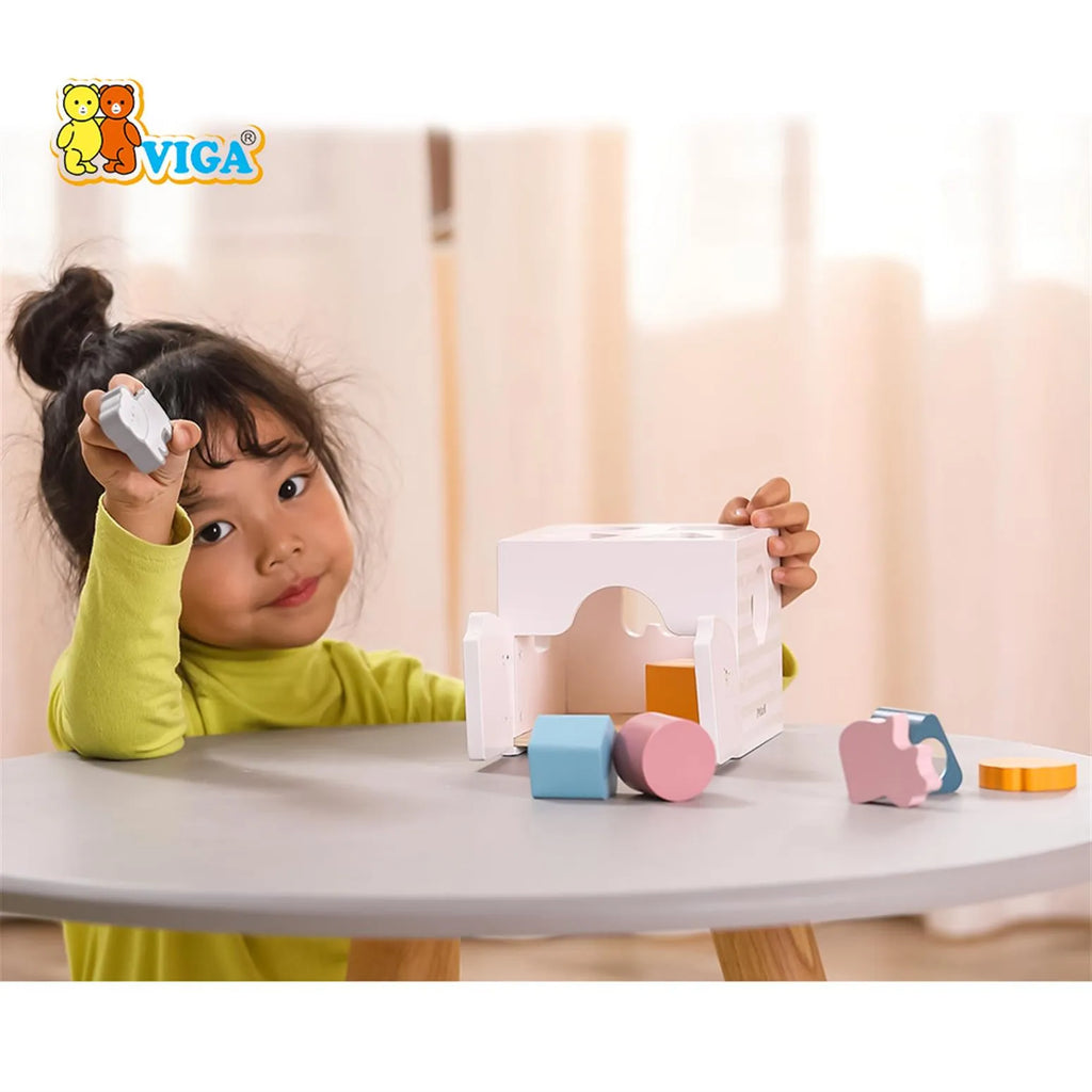 Viga Shape Sorter with Music Blocks