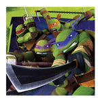 TEENAGE NIJA TURTLES TISSUES-20PCS
