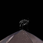 Tent Double 280 X 280 X 165 CM