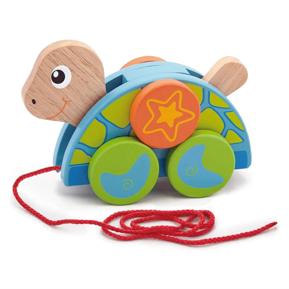 viga Pull Along -Turtle