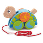 viga Pull Along -Turtle