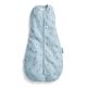 Ergo pouch Cocoon Swaddle Bag tog 0.2 Dragonflies