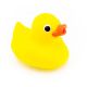 Sassy Cool Water Ducky with Temperature Sensative Indicator