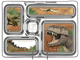 planet box Rover-Magnet-Dinosaurs